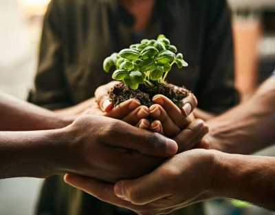 Statement on the sustainability of Asset Management operations